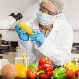 Seguridad-Alimentaria